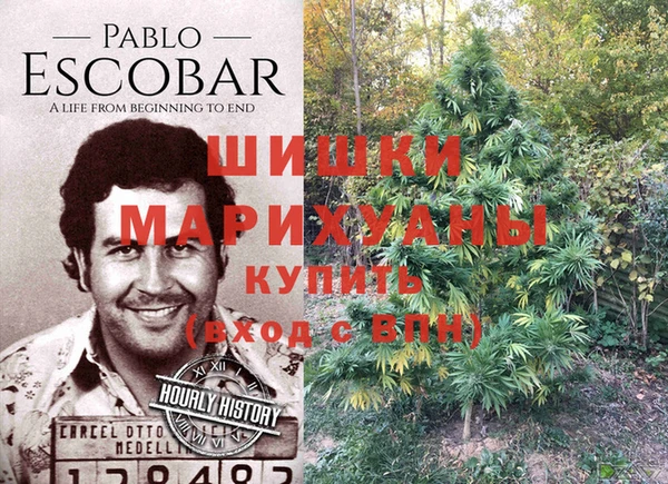 спиды Белокуриха