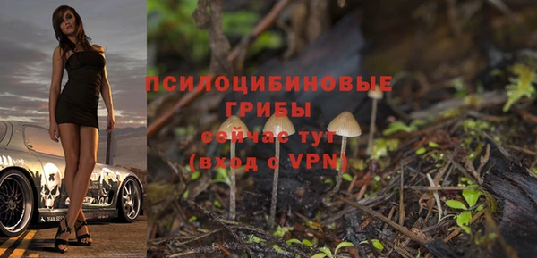 спиды Белокуриха