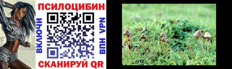 Псилоцибиновые грибы ЛСД  Выборг 